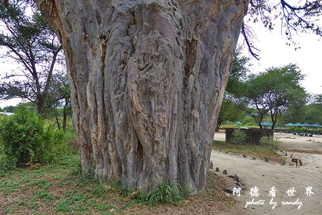 tarangireFZ200 (18).JPG tarangireFZ200 (18).JPG