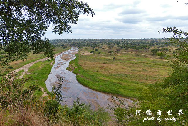 tarangireFZ200 (54).JPG tarangireFZ200 (54).JPG