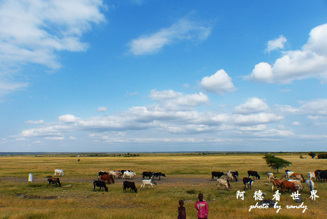 tarangireFZ200 (68).JPG tarangireFZ200 (68).JPG