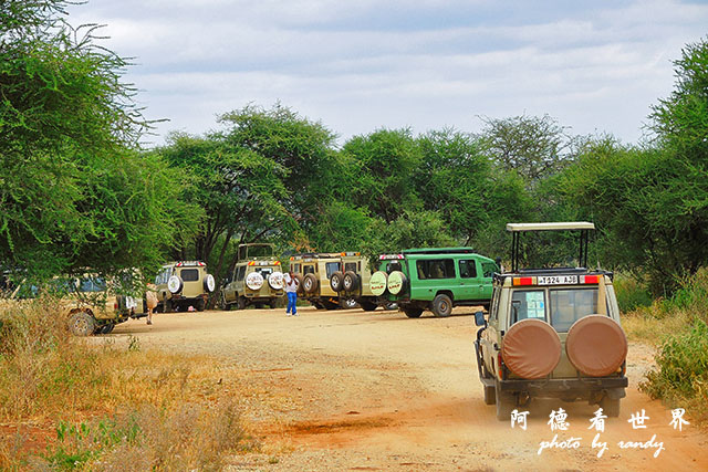 tarangireP7700 136.JPG tarangireP7700 136.JPG