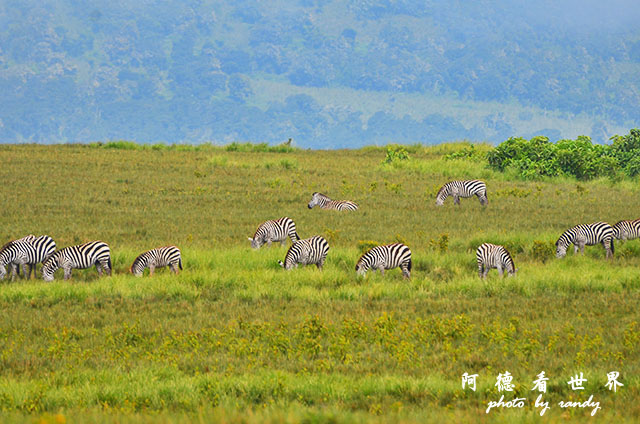 serengeti1D7000 026.JPG serengeti1D7000 026.JPG