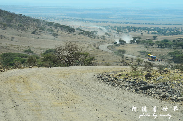 serengeti1D7000 061.JPG