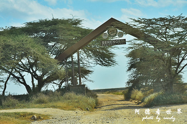 serengeti1D7000 071.JPG serengeti1D7000 071.JPG