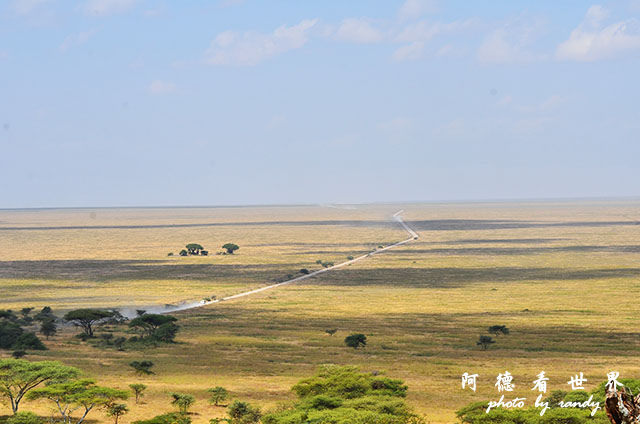 serengeti1D7000 094.JPG