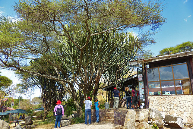 serengeti1FZ200 (106).JPG serengeti1FZ200 (106).JPG