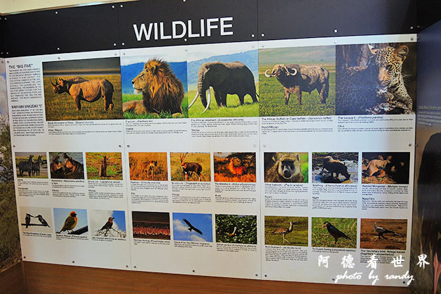 serengeti1P7700 008.JPG serengeti1P7700 008.JPG