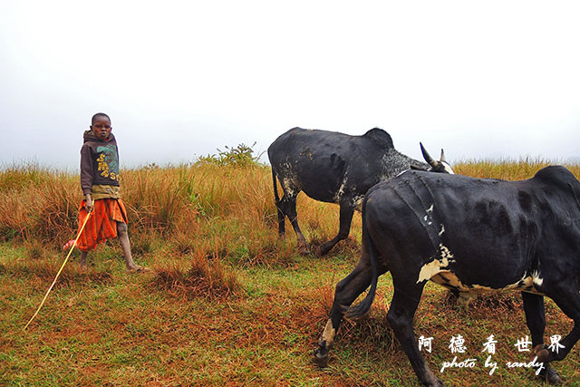 serengeti1P7700 013.JPG serengeti1P7700 013.JPG