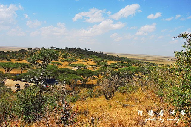 serengeti1P7700 052.JPG