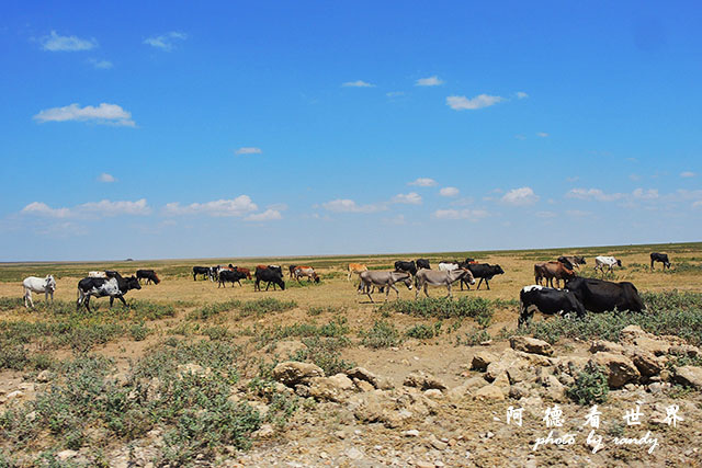 serengeti1P7700 043.JPG