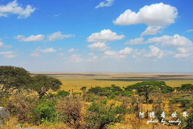 serengeti1P7700 065.JPG