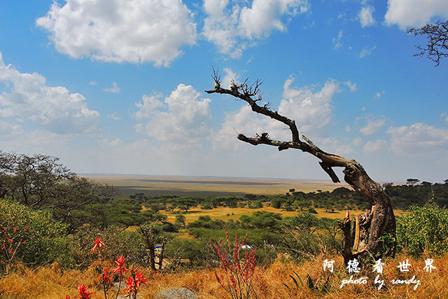 serengeti1P7700 054.JPG