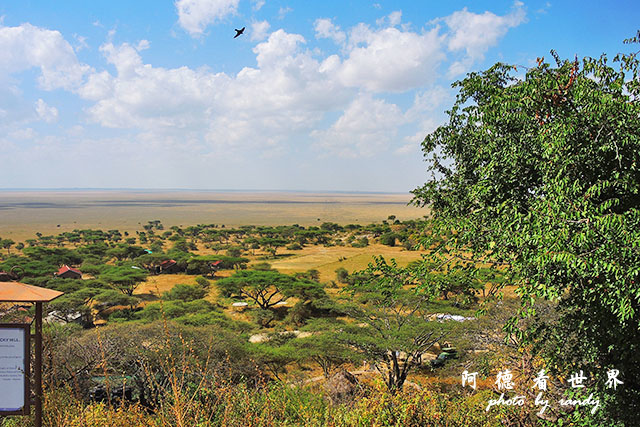 serengeti1P7700 070.JPG