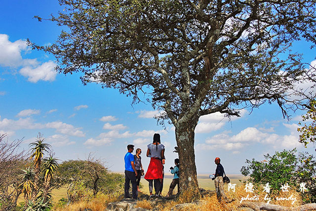 serengeti1P7700 071.JPG