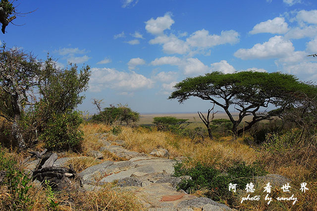 serengeti1P7700 079.JPG