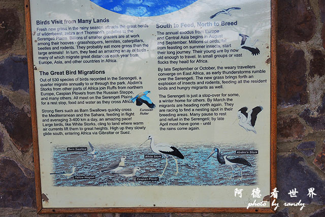 serengeti1P7700 084.JPG serengeti1P7700 084.JPG