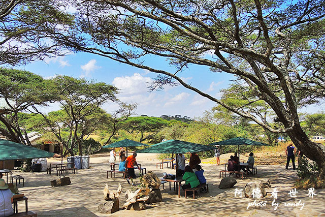 serengeti1P7700 085.JPG