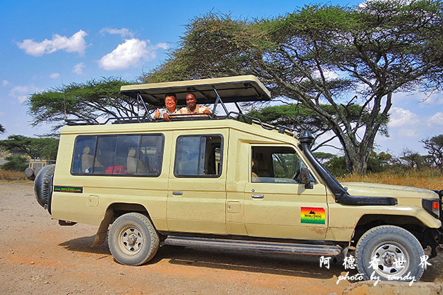 serengeti1P7700 094.JPG serengeti1P7700 094.JPG