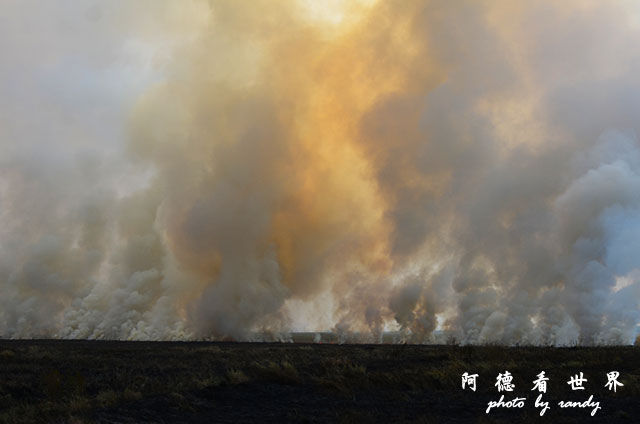 serengeti1D7000 189.JPG serengeti1D7000 189.JPG