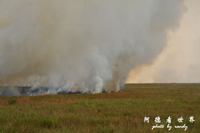 serengeti1D7000 193.JPG serengeti1D7000 193.JPG