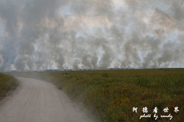 serengeti1D7000 196.JPG serengeti1D7000 196.JPG
