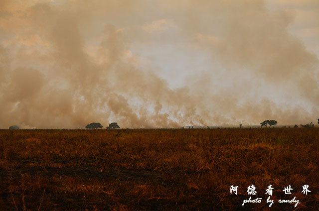 serengeti1D7000 206.JPG serengeti1D7000 206.JPG