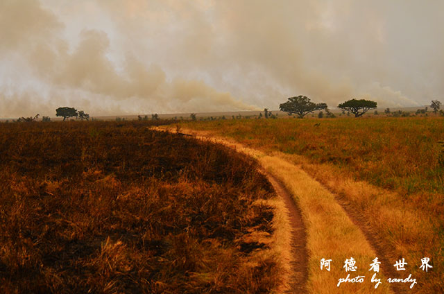 serengeti1D7000 207.JPG serengeti1D7000 207.JPG