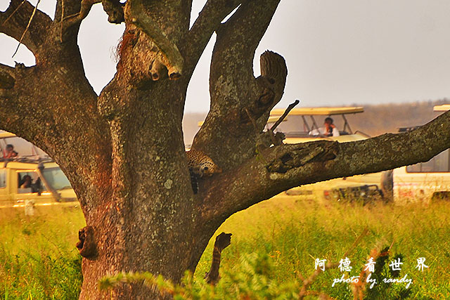 serengeti1D7000 224.JPG serengeti1D7000 224.JPG