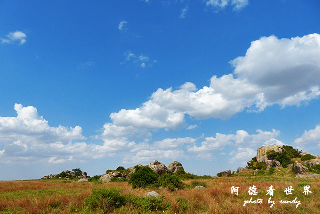 serengeti1FZ200 (127).JPG serengeti1FZ200 (127).JPG