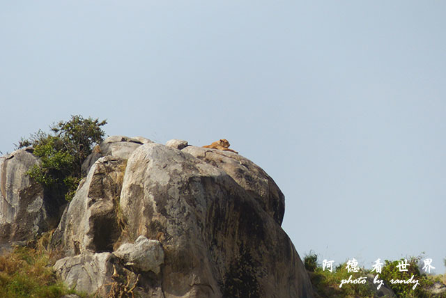 serengeti1FZ200 (126).JPG serengeti1FZ200 (126).JPG