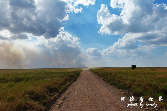 serengeti1FZ200 (134).JPG serengeti1FZ200 (134).JPG