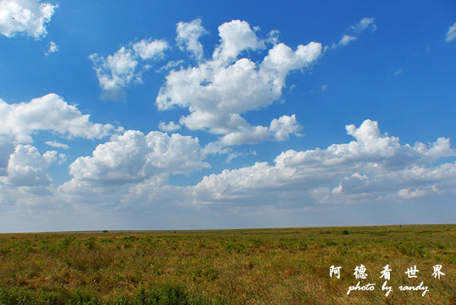 serengeti1FZ200 (128).JPG serengeti1FZ200 (128).JPG