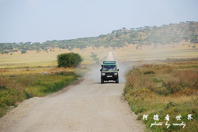 serengeti1P7700 099.JPG