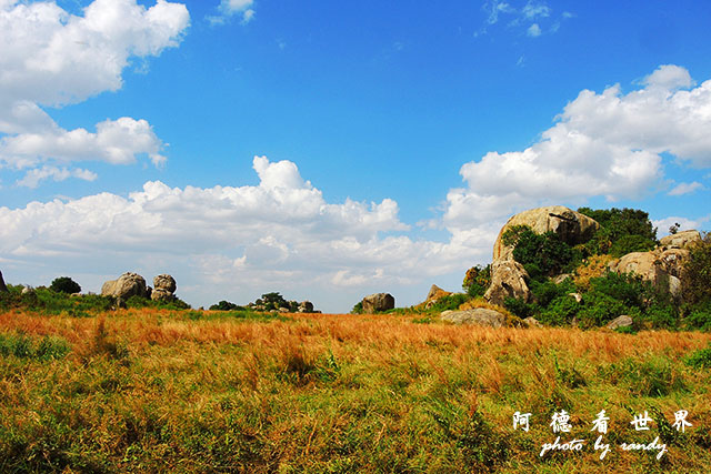 serengeti1P7700 106.JPG