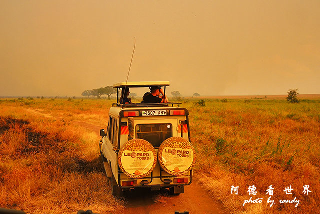 serengeti1P7700 129.JPG serengeti1P7700 129.JPG