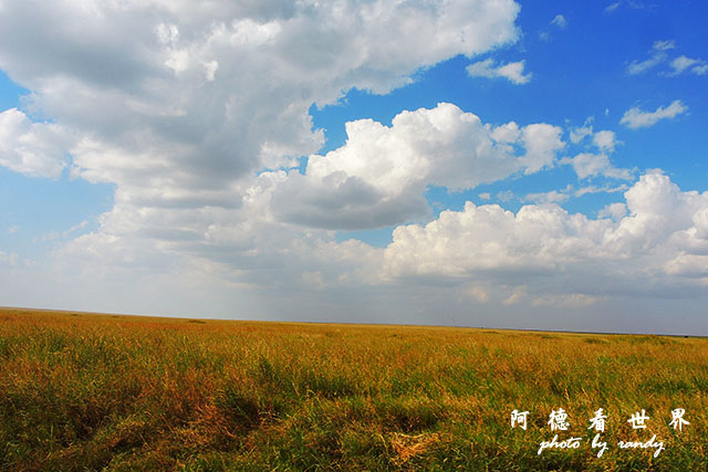 serengeti1P7700 114.JPG