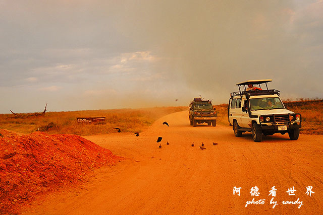 serengeti1P7700 135.JPG serengeti1P7700 135.JPG