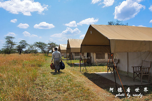 serengeti2P7700 088.JPG serengeti2P7700 088.JPG