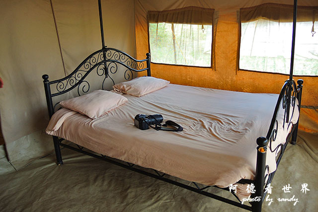 serengeti2P7700 097.JPG serengeti2P7700 097.JPG