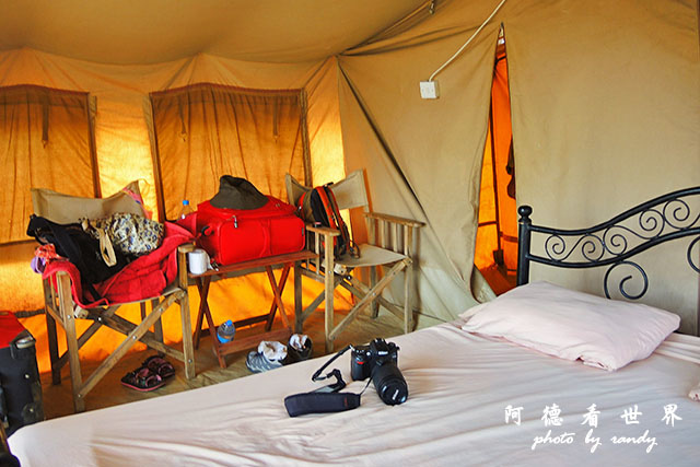 serengeti2P7700 098.JPG serengeti2P7700 098.JPG