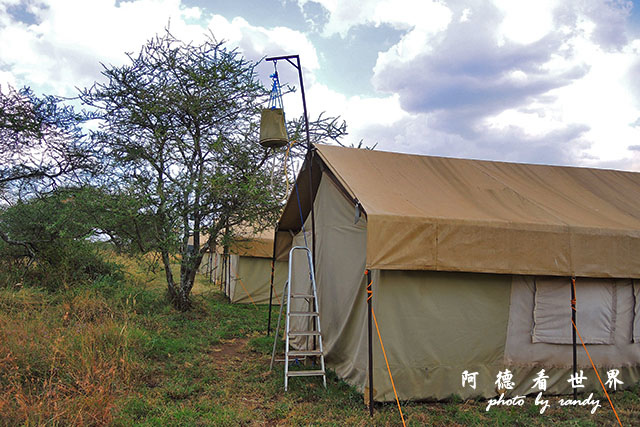 serengeti3P7700 005.JPG serengeti3P7700 005.JPG