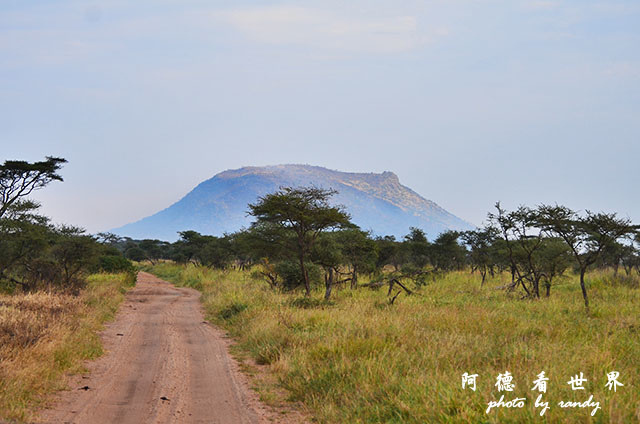 serengeti2D7000 029.JPG