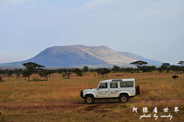 serengeti2D7000 032.JPG