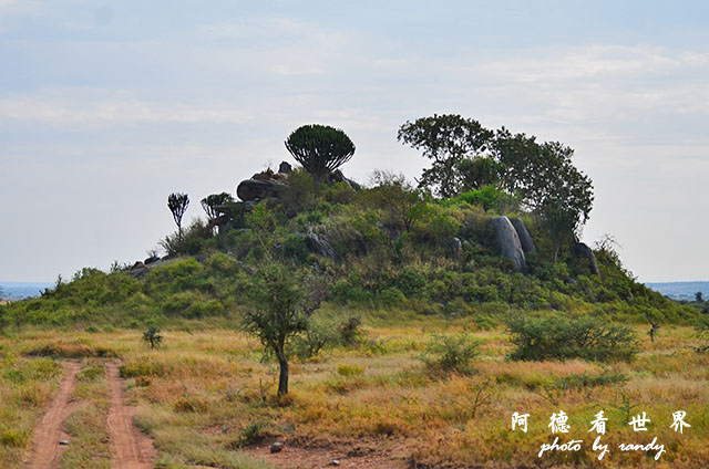 serengeti2D7000 054.JPG serengeti2D7000 054.JPG