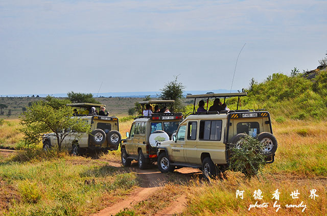 serengeti2D7000 069.JPG serengeti2D7000 069.JPG