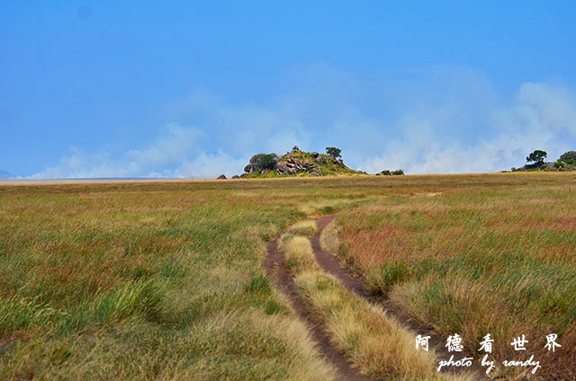 serengeti2D7000 090.JPG serengeti2D7000 090.JPG