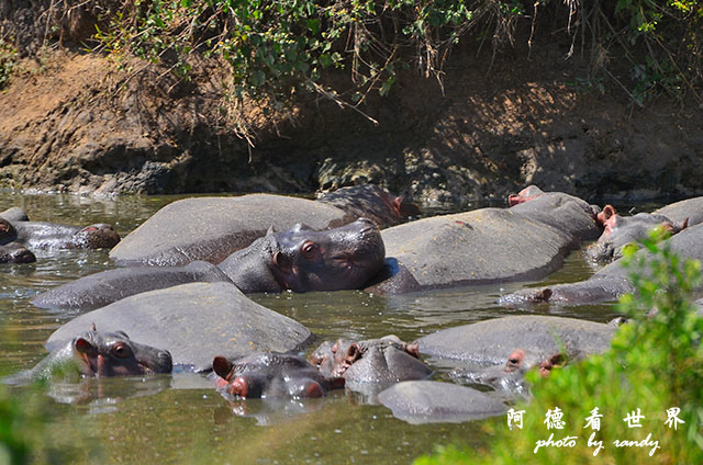 serengeti2D7000 163.JPG serengeti2D7000 163.JPG
