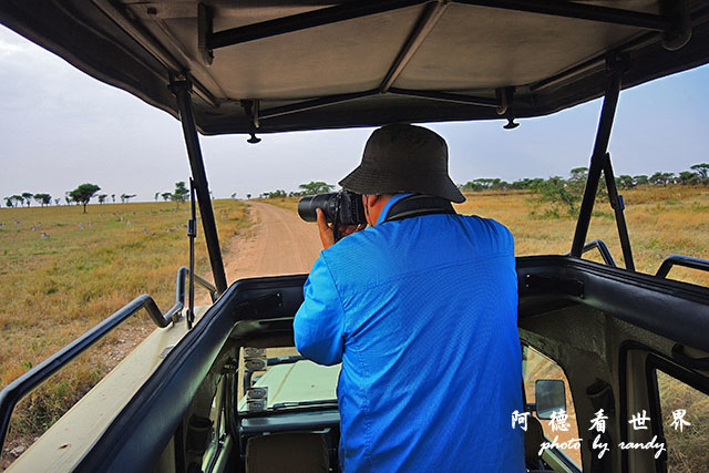 serengeti2P7700 011.JPG