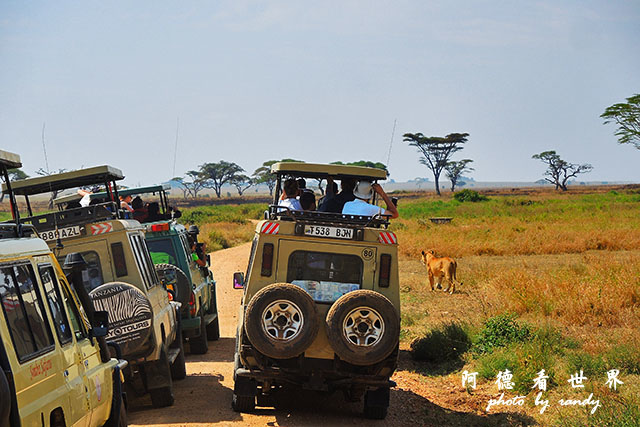 serengeti2P7700 056.JPG serengeti2P7700 056.JPG