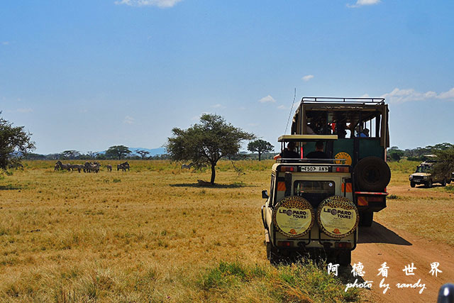 serengeti2P7700 073.JPG