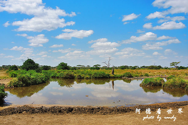 serengeti2P7700 077.JPG serengeti2P7700 077.JPG